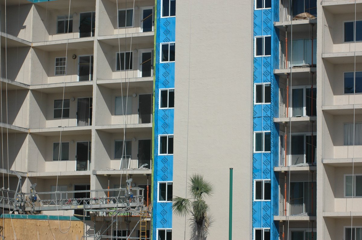 Holly Day tweet media