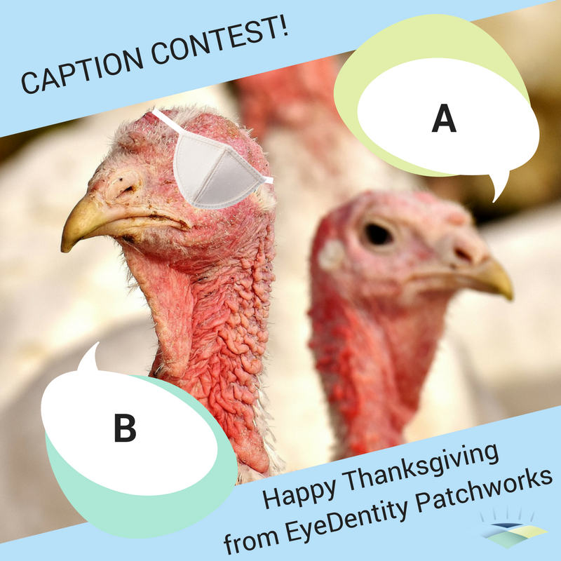 EyePatchMaker's tweet photo. Thank you everyone, and Happy Thanksgiving! What do you think these turkeys are up to? https://t.co/cMFzE6wTVL