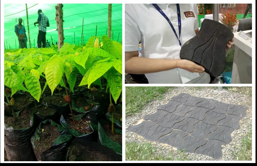 Yehnidjidji's tweet photo. Distribuer 13 millions de plants de cacao ou de café veut dire qu’il ya autant de sachets plastiques. #Nestlé fait collecter ces sachets noirs auprès des producteurs et les recycle en pavés.  #SARA2017 #CIV225 #CSV #NestleCWAR #Nestlecocoaplan #Nescafeplan https://t.co/eUpDWqlf8n
