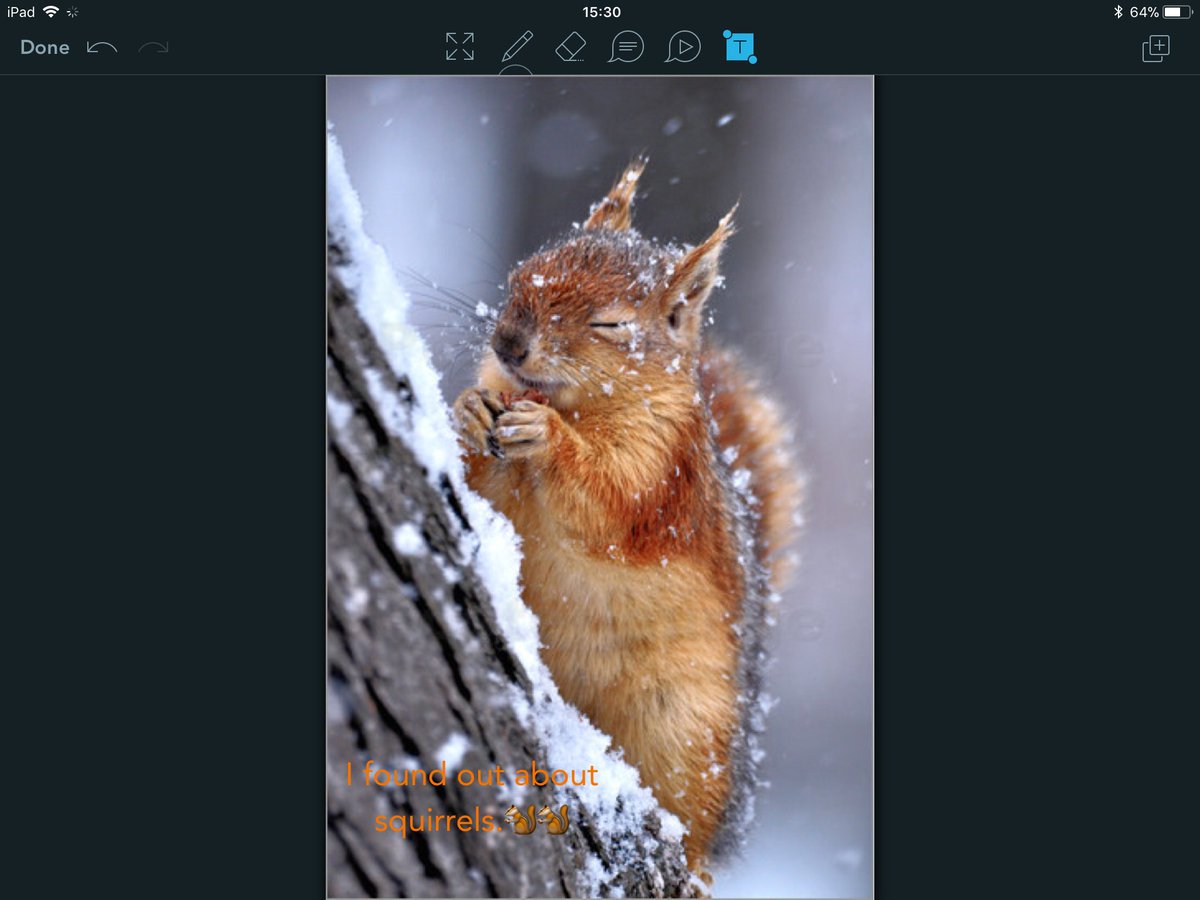 Parkfield's tweet photo. #Y1 and #Y2 learnt how to annotate images in @Showbie this afternoon by drawing and adding text boxes on them. #Computing https://t.co/DOr9hZs41O