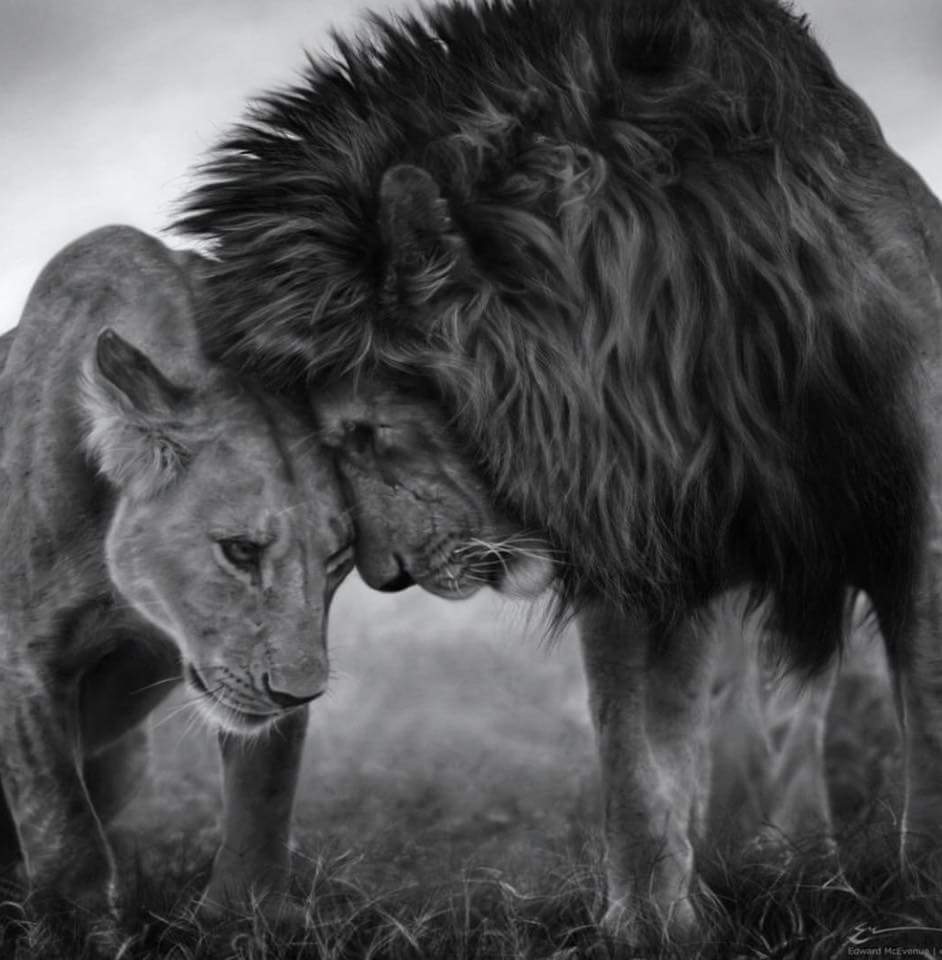 TheLucindaWhite's tweet image. Wherever you are,
Whatever you do,
Be in love 

~Rumi 
RT @akri2000 #quote