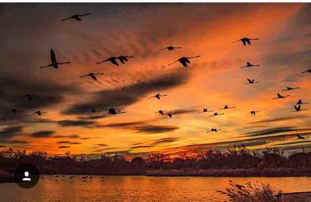 Visiting Provence tweet media