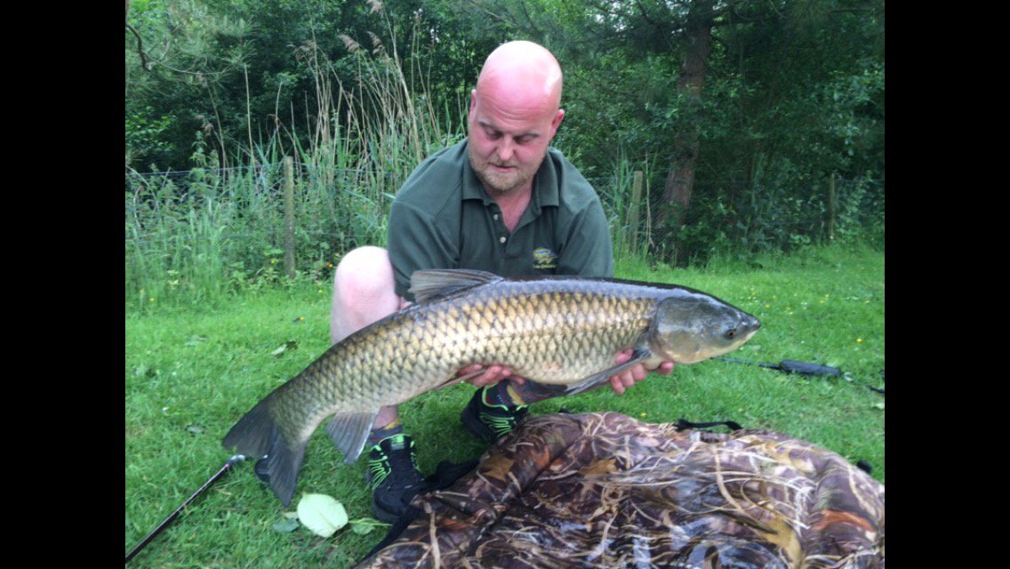 PoolsAshlea's tweet photo. #fishing #shropshire #ashleapools #bigone #rod #lodges #hottub #relaxation #lovetofish https://t.co/O9LofFa5kg