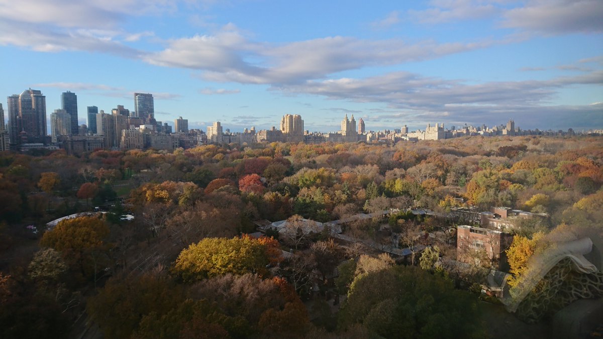 itadmin7's tweet image. Good morning, new york