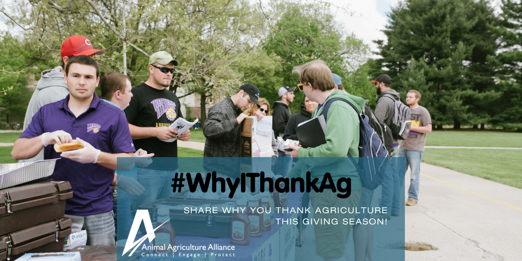 animalag's tweet photo. For college students sharing their passion for agriculture on campuses across the nation! #WhyIThankAg #CAO17 https://t.co/SNgGw23Km5