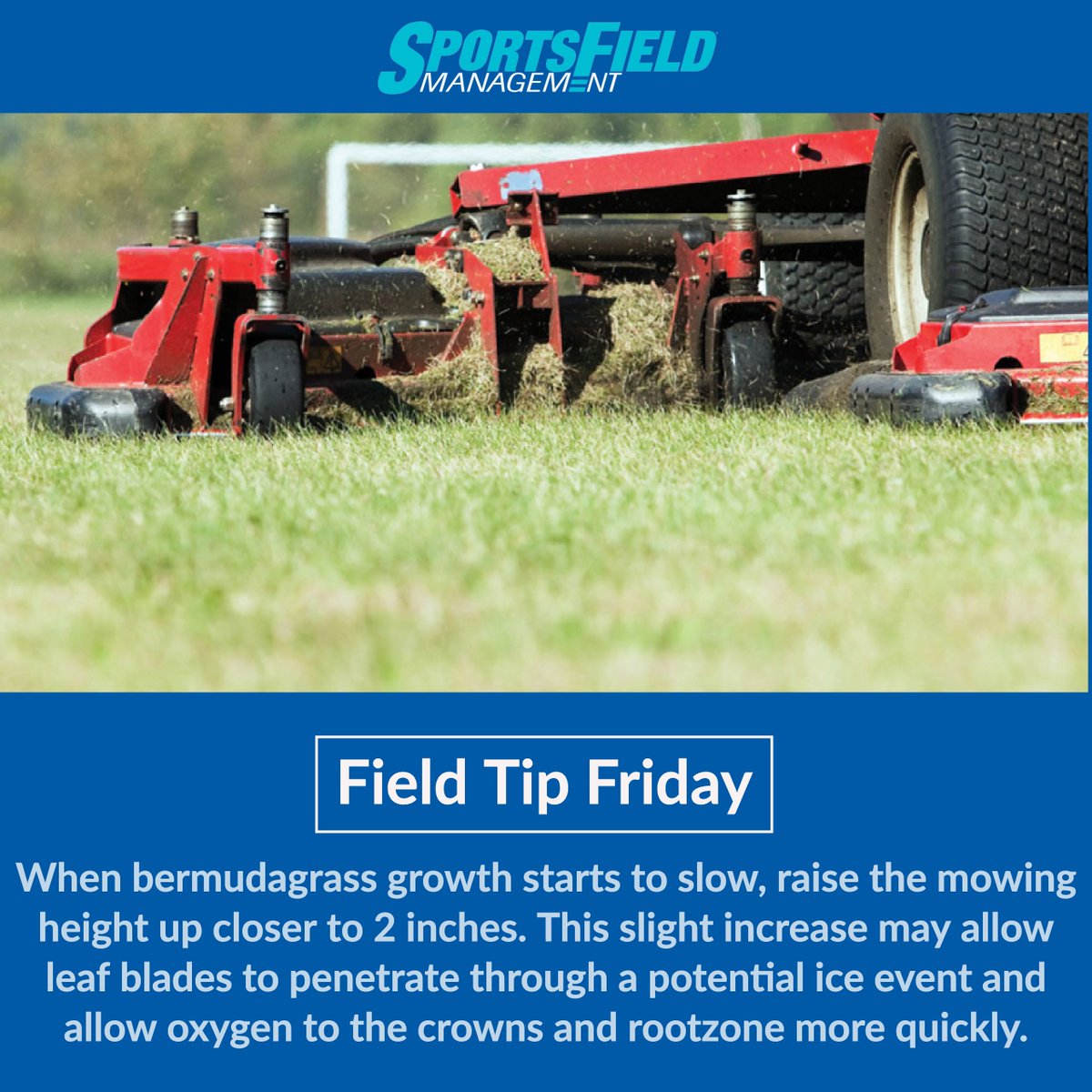 SFM_Magazine's tweet photo. #FieldTipFriday: When bermudagrass growth starts to slow in winter, it would be wise to raise the mowing height up closer to 2 inches. https://t.co/d8Do945m9A