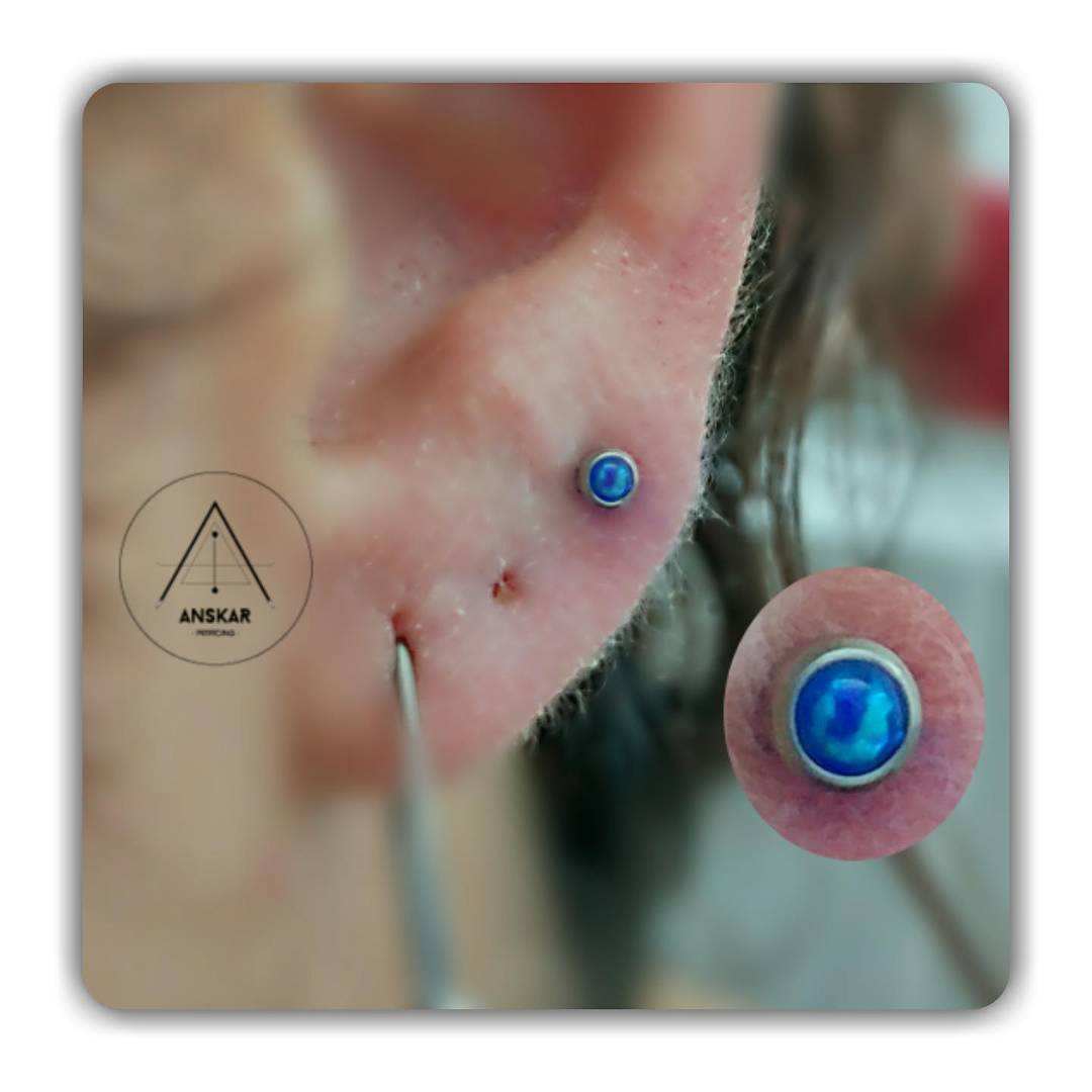 Anskarpiercing's tweet photo. #opalpiercing #opaljewelry #opal #lobe #lobespiercing #lobepiercing #earpiercing #earpiercings #roscainterna  #internallythreaded #titanium #titanio #astmf136 #finejewlery  #anskar #anskarpiercing #piercingcerdanyola #piercing #bodypiercing #Barcelonapiercing #piercingbarcelona https://t.co/JOElypOpMb
