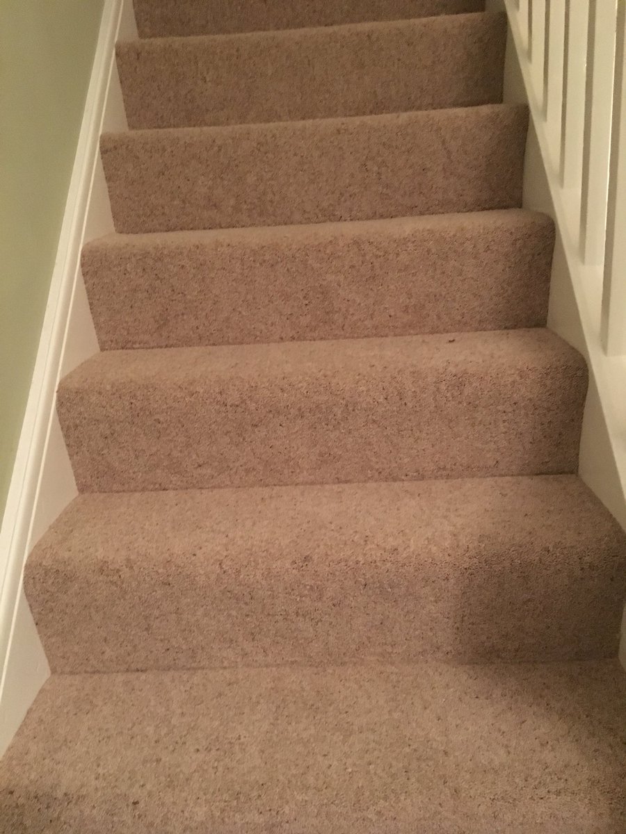 TinctureOfMuse's tweet photo. Best thing about today we finally have replaced stairs carpet up to loft π getting rid of carpet that has been there since we moved in over 10years ago #yes #finally #properhome https://t.co/zkuM51Bxhj