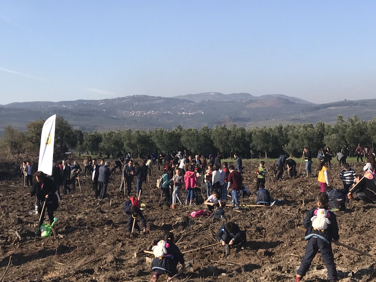 Bursa Hasköy’de 24 Kasım Öğretmenler Günü anısına her bir öğretmenimiz adına 1’er adet fidan dikilerek hatıra ormanı tesis edildi.

24 Kasım Öğretmenler gününüz kutlu olsun!

@CihatYikici <a href="/arifcn16/">Arif CAN</a> @OGMBURSAORMAN
