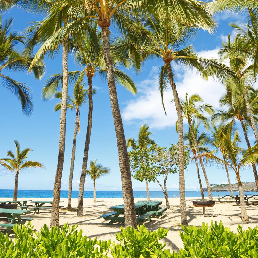 BlueBottleRoses's tweet photo. The Ultimate Guide to Lana'i https://t.co/Et7nJJIkNi https://t.co/OnFT3jREOC