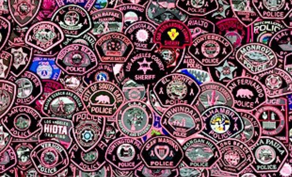 apbweb's tweet photo. Looking for the perfect holiday gift? Support Pink Patch Project &amp; buy a patch- lots to choose from. 
https://t.co/6PnjhtIv6t https://t.co/mpNhiFHkXO