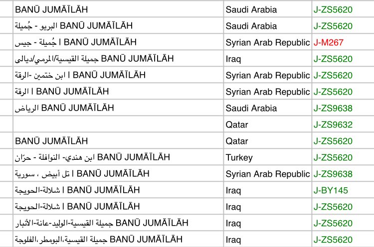 ظهرت نتيجة Big Y لأسرة المرشد من جُميلة (الرياض) وهي تجتمع في التحور ZS9638 مع النوافلة من جُميلة القيسية (سورية) أسفل Zs5620.