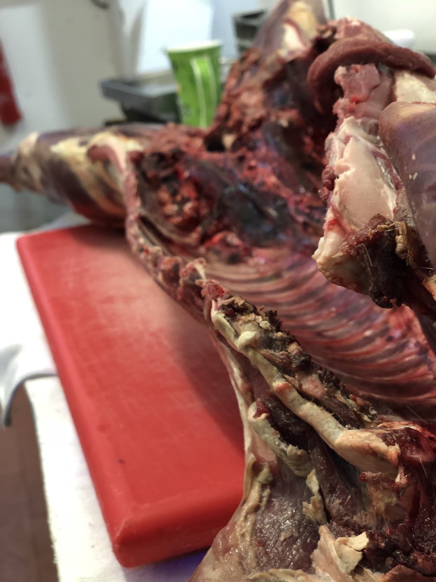 An amazing afternoon being shown how to butcher a deer by Aldeburgh’s artisan butcher