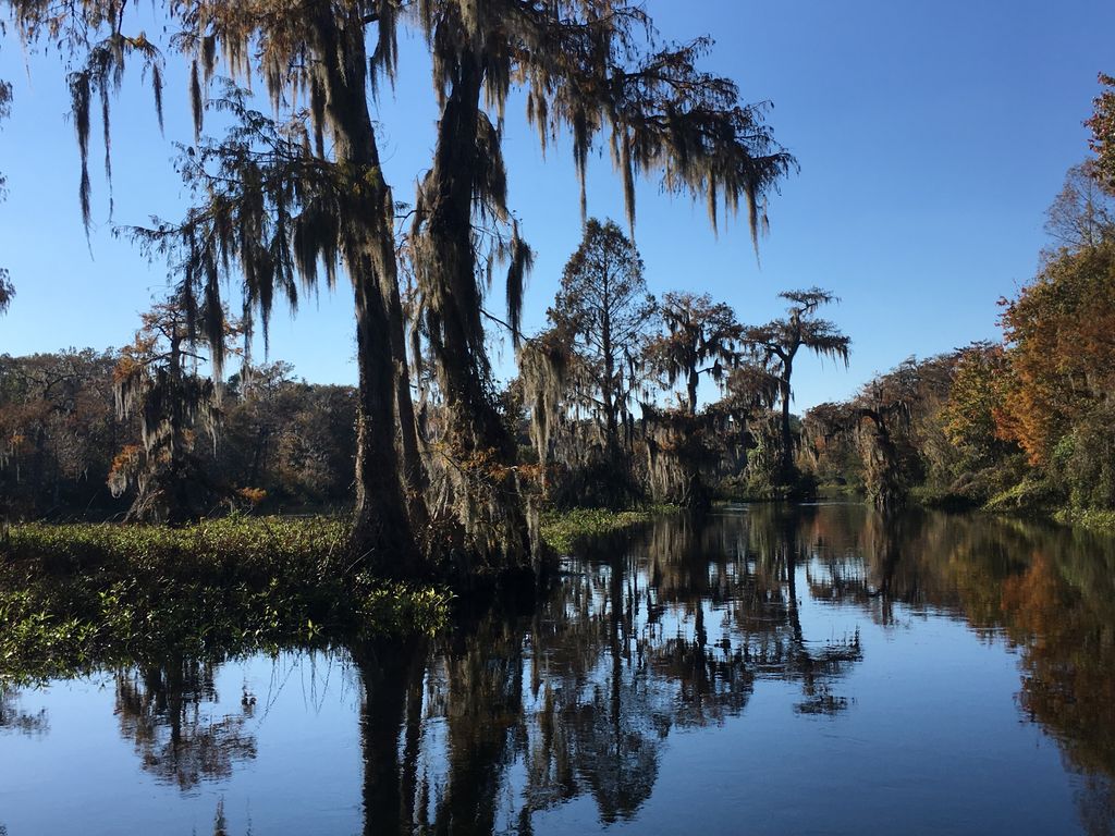 KemperPT's tweet photo. Beautiful day after Thanksgiving on the river... https://t.co/D0cmtupzKt