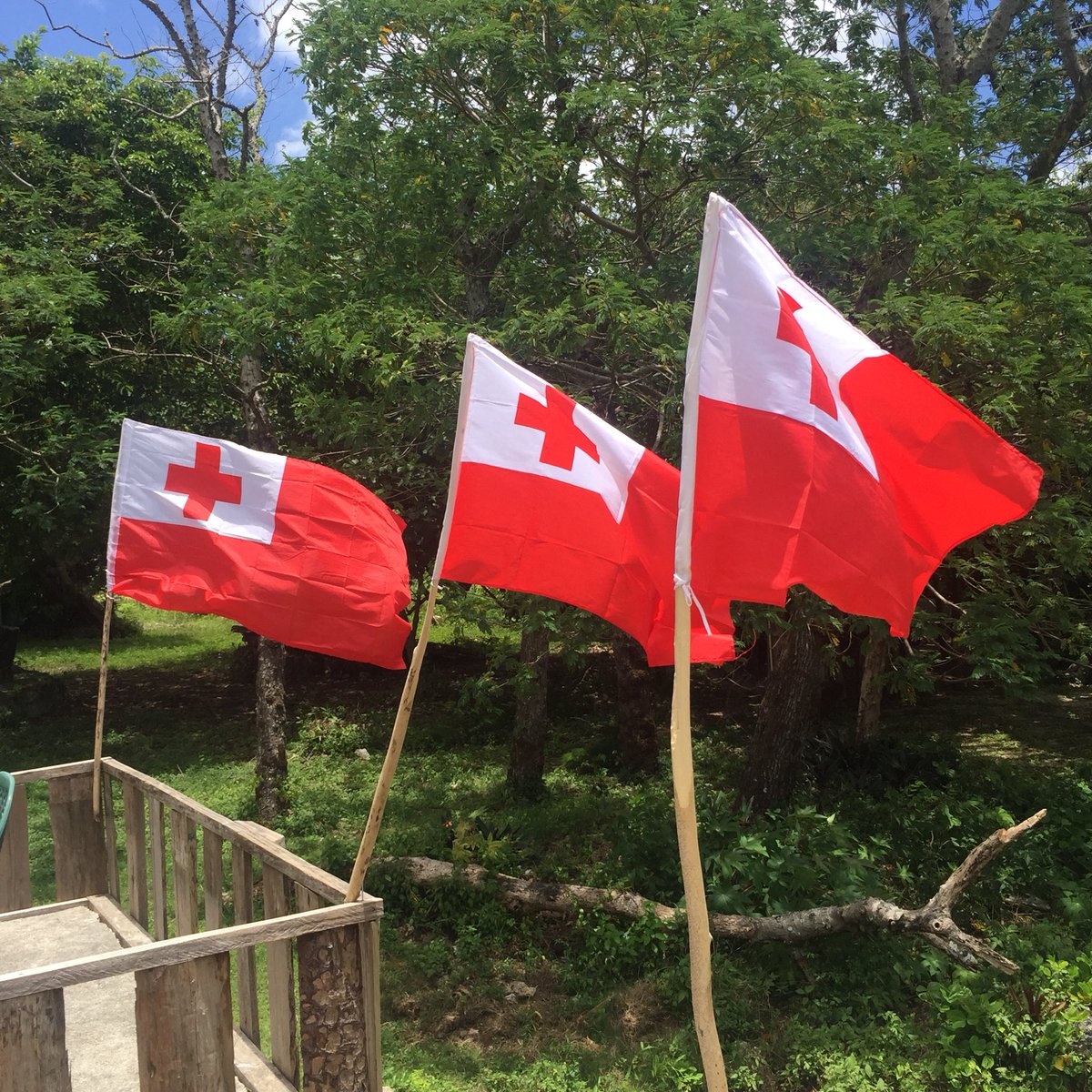 SiaAdams's tweet photo. Because #MateMaaTonga ia a Eua 😂😂😂🇹🇴🇹🇴🇹🇴🇹🇴 #PaintThemRedTonga #rugbyleagueworldcup2017 #TongaNationalRugbyLeague #HideawayResort https://t.co/GKPxvsia7n