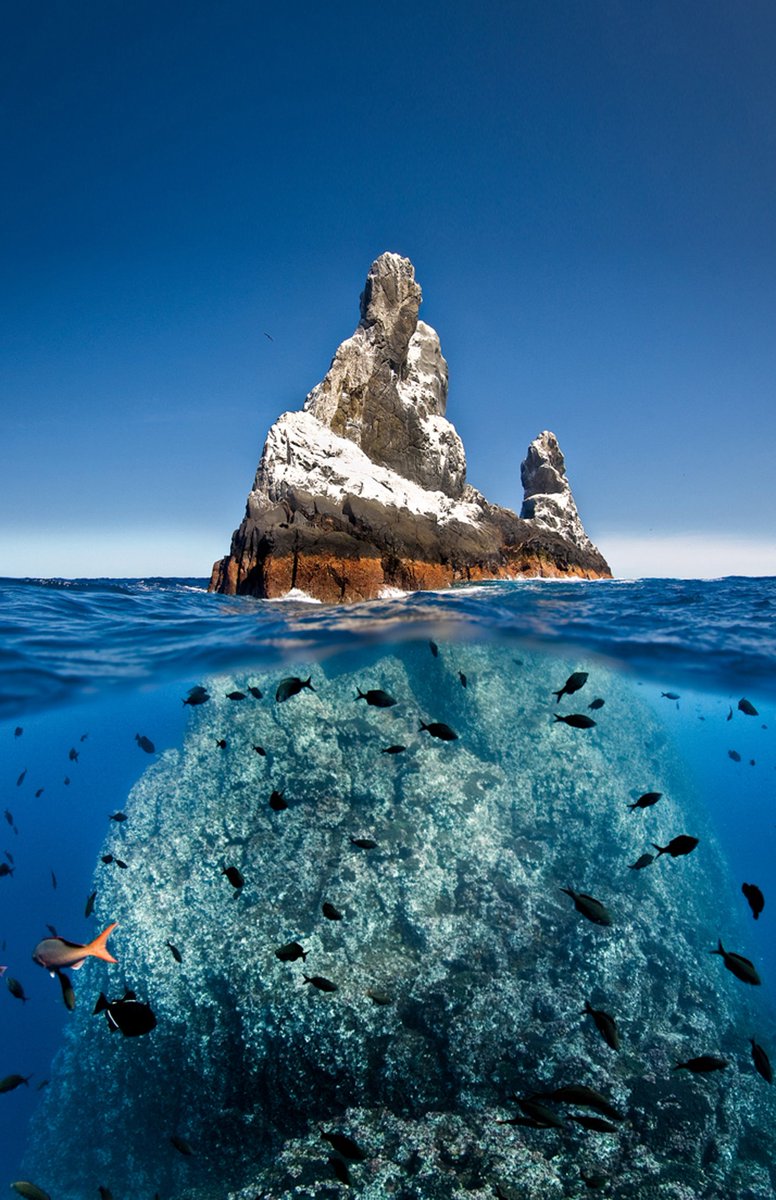 Ver imagen en Twitter