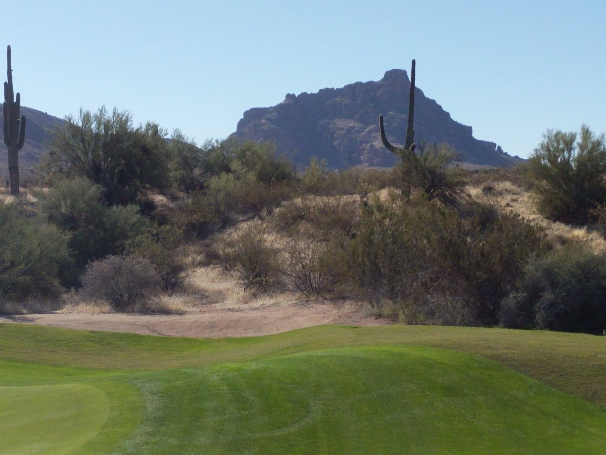 David Short tweet media