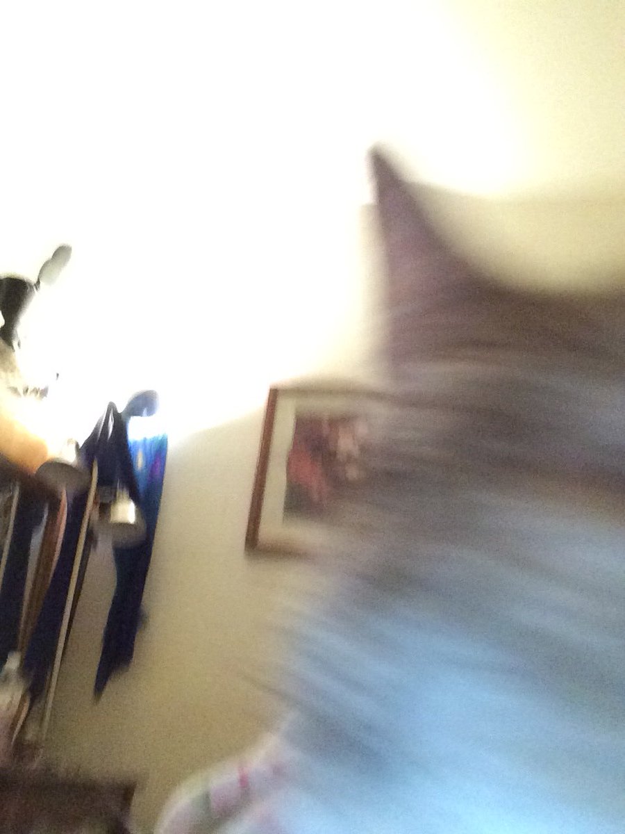 KittyLuvBites's tweet photo. Mommy: Nanaโs *ahem* photography debut #self_expression ๐คฆโโ๏ธ๐ https://t.co/2yl6rVzVQX