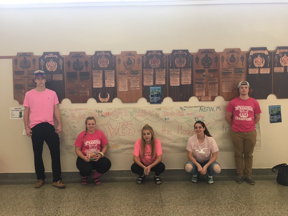 KenzieFink11's tweet photo. WESS takes the pledge to support anti bullying #WESSsmiles #includedatWESS https://t.co/lYWA9bEhxG