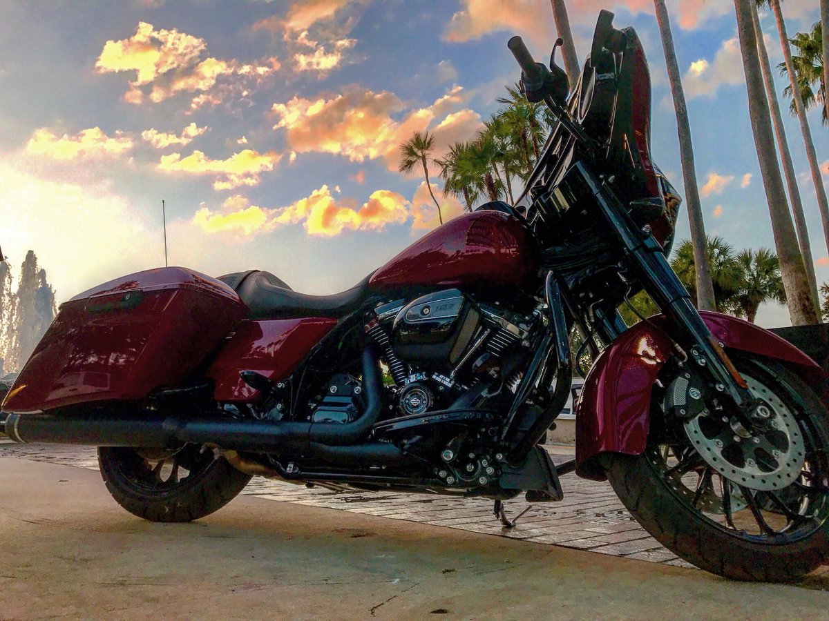 TAMPAHDGROUP's tweet image. Photo of the day 🐙 #harleydavidson #streetglide #2018harleydavidson #harleydavidsonfl #florida