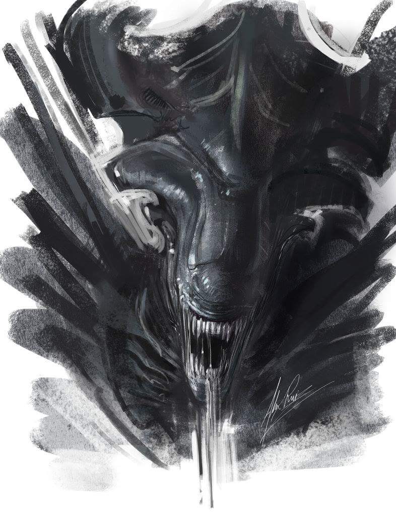 Xenomorph Alien Vs Predator Drawing