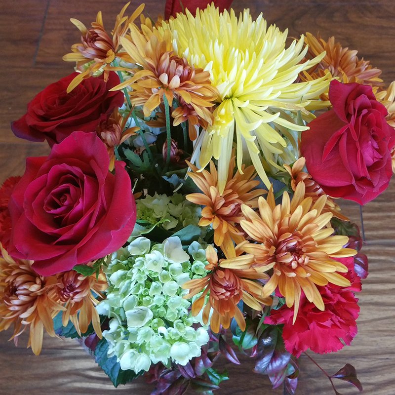 VisitMtJuliet's tweet photo. Thanks, Moss' Flower Shop for adding color to our #BlackFriday!  Share with us your favorite deals you've found in #MtJuliet.  #ShoppinginMJ https://t.co/gcB1pWEZp1