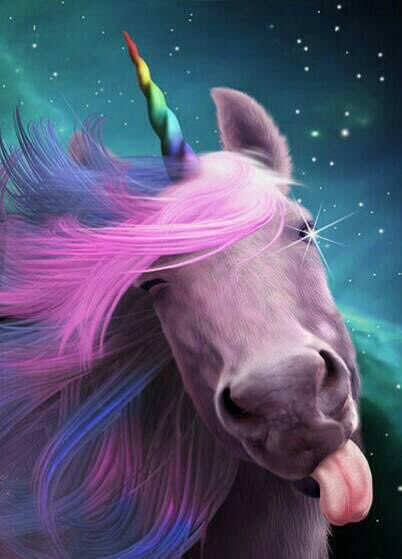 LastUnicornCon's tweet photo. Meet the misses https://t.co/LHNwoLmyeb