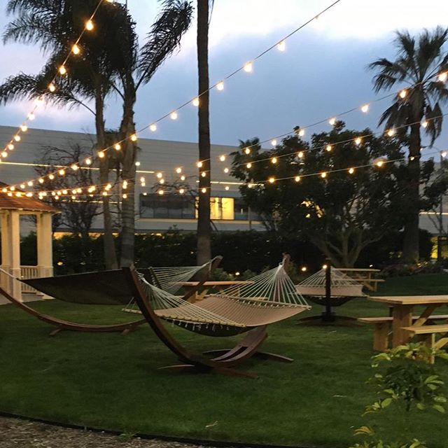 TRBMarriott's tweet photo. A quiet, cozy place to relax after a big Thanksgiving. #21Square #TorranceMarriott https://t.co/7XtizcDReN