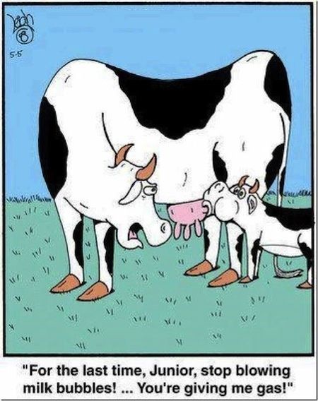DairyRobot's tweet photo. Ha!  😂😂😂 #FridayFunny https://t.co/cKGn9z2ES3