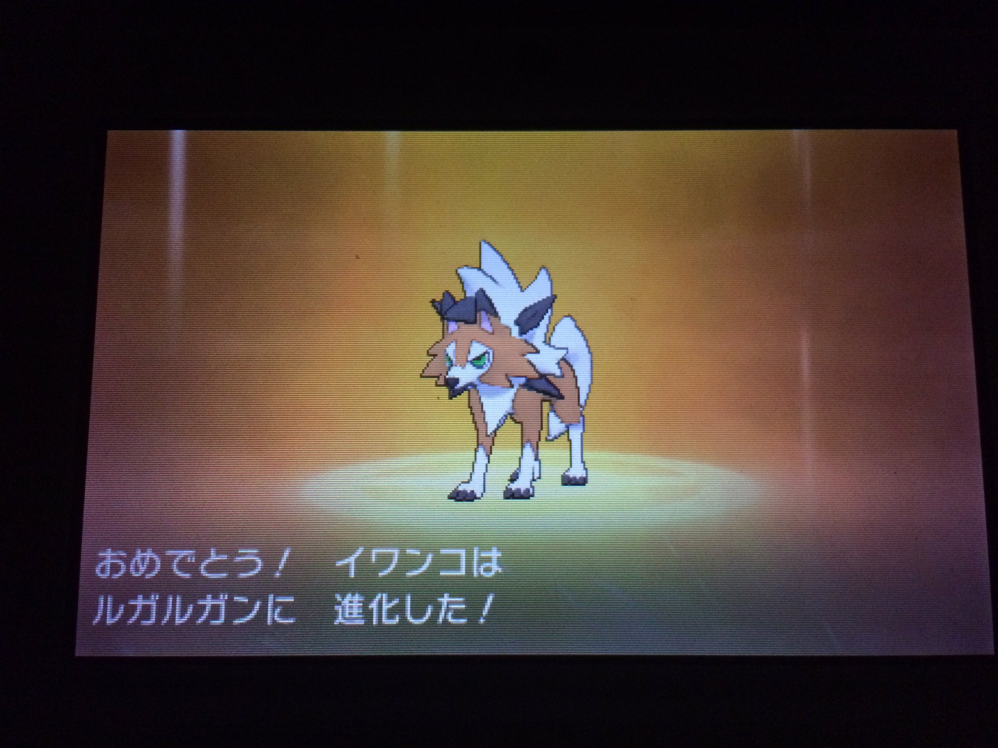 てづくり この時間起きてたからイワンコやっとルガルガン たそがれのすがた に進化させられた ポケモンusum たそがれのすがた Pokemonusum Twilightform T Co W8wiy41pyp Twitter