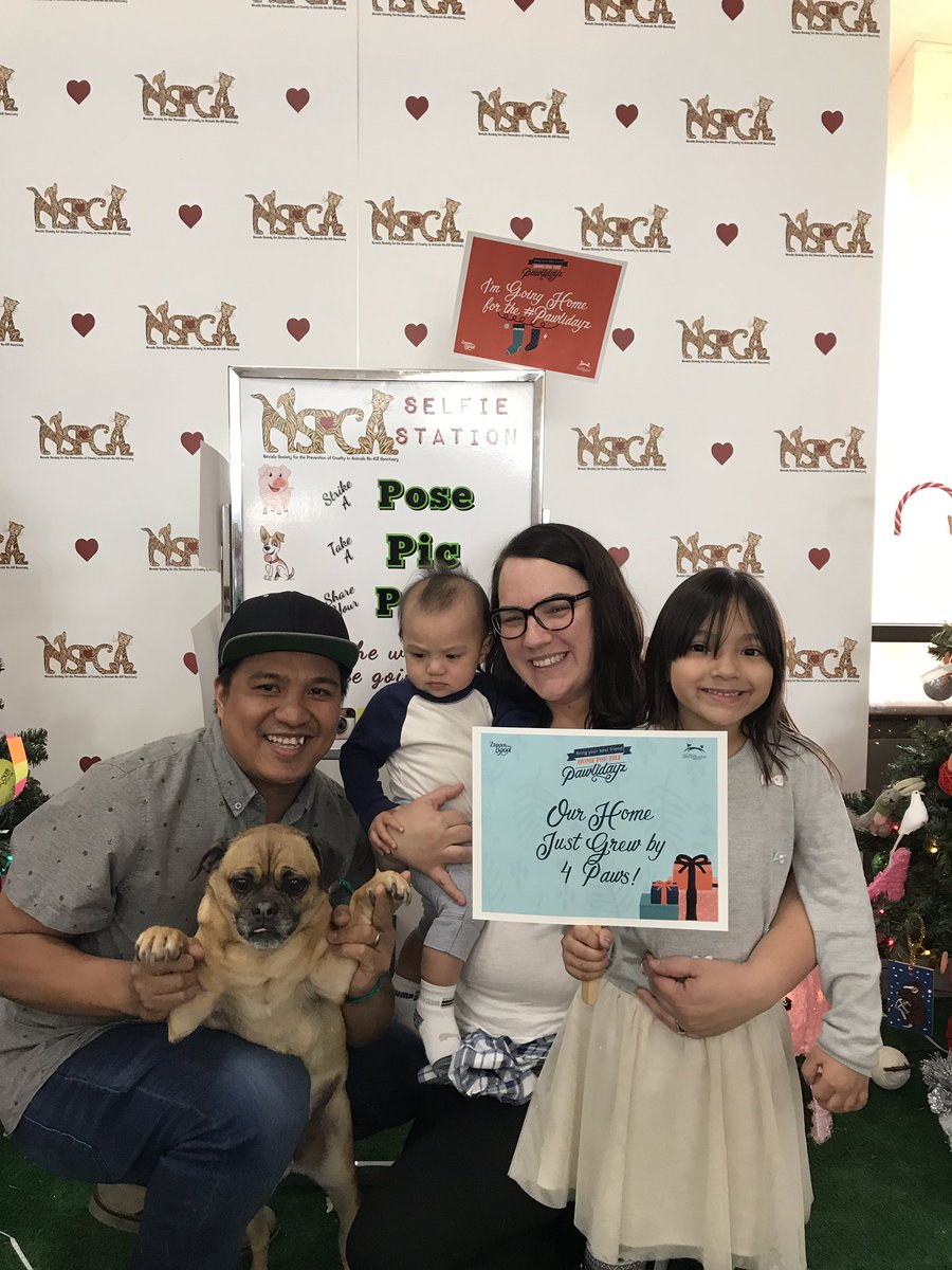 NevadaSPCA's tweet image. Zelda found her forever home! #Zappos #pawlidaz #zapposforpets