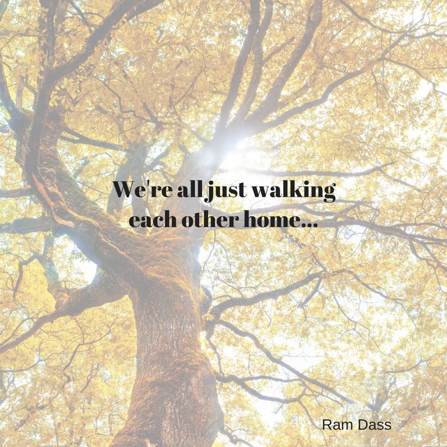 TheDoulaProgram's tweet photo. DAY 12 OF 30 DAYS OF DOULA! RAM DASS! Check us out on our Facebook page: https://t.co/NokMNv7kSo

To learn more or to DONATE NOW, please visit our website at https://t.co/BtDPVKIgB1. https://t.co/Gwu0Ky1vsk