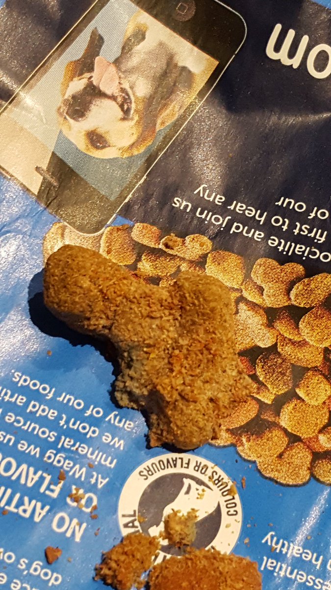 workact1974's tweet photo. @WaggFoods mouldy congealed lump of dry mix found in my dogs food! #Shocked https://t.co/S0vdu5p5iV