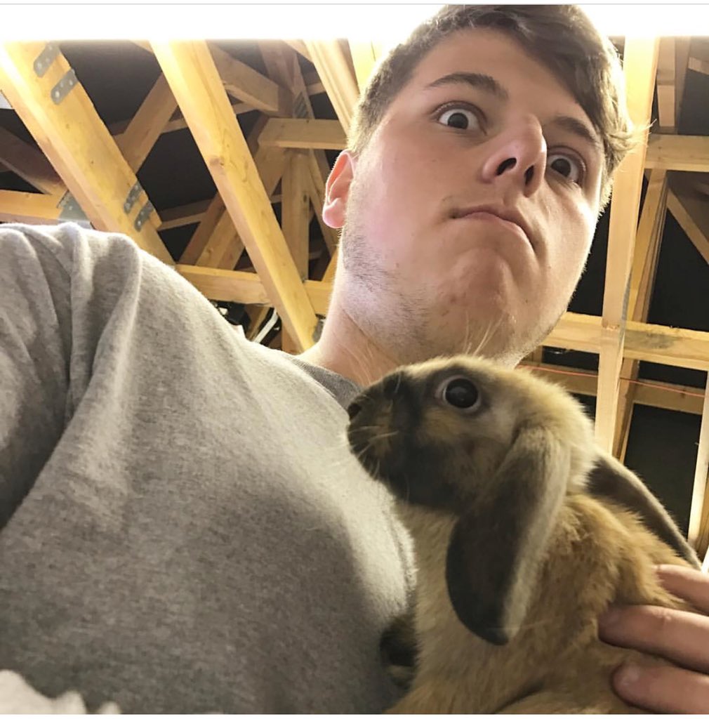 elliotgilesuk's tweet photo. Sad to say but cookie sadly passed away today😪 at least he’s now in a good place going to miss you! Love you cookie RIP❤️ https://t.co/7JVjjDQ9xW