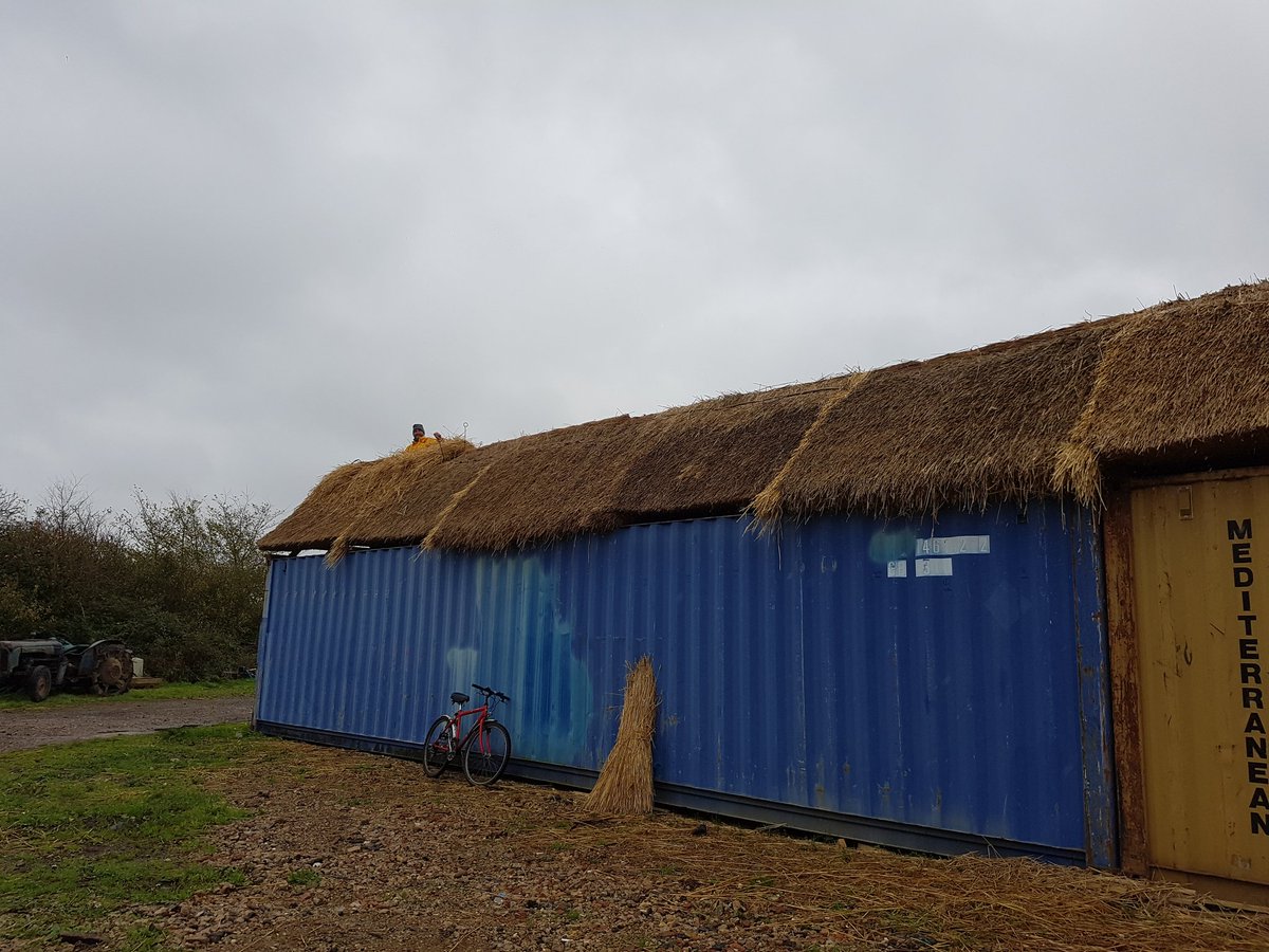 TheNTSGA's tweet photo. As part of a project in association with @HistoricEngland we have a set of thatch roof sections consisting of 5 varieties of wheat, 3 growing conditions, 3 specifications and a North and South elevation for all the sections. We will be monitoring the thatch for 20 years. https://t.co/6XQEaT5goo