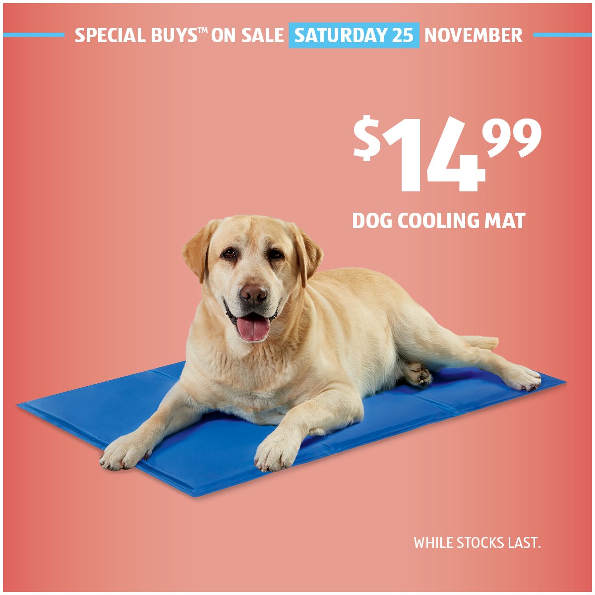 cooling mat for dogs aldi