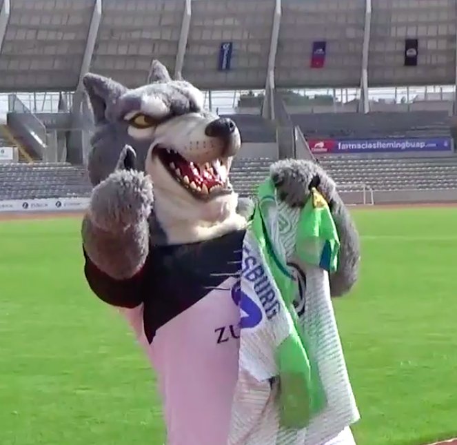 VfLWolfsburg_ES's tweet photo. ¡Esta hermandad, no la para nadie!
@VfLWolfsburg_ES y @LobosBuapMX #AullemosJuntos 🇲🇽⚽️🇩🇪 https://t.co/JmO6ZsyCck