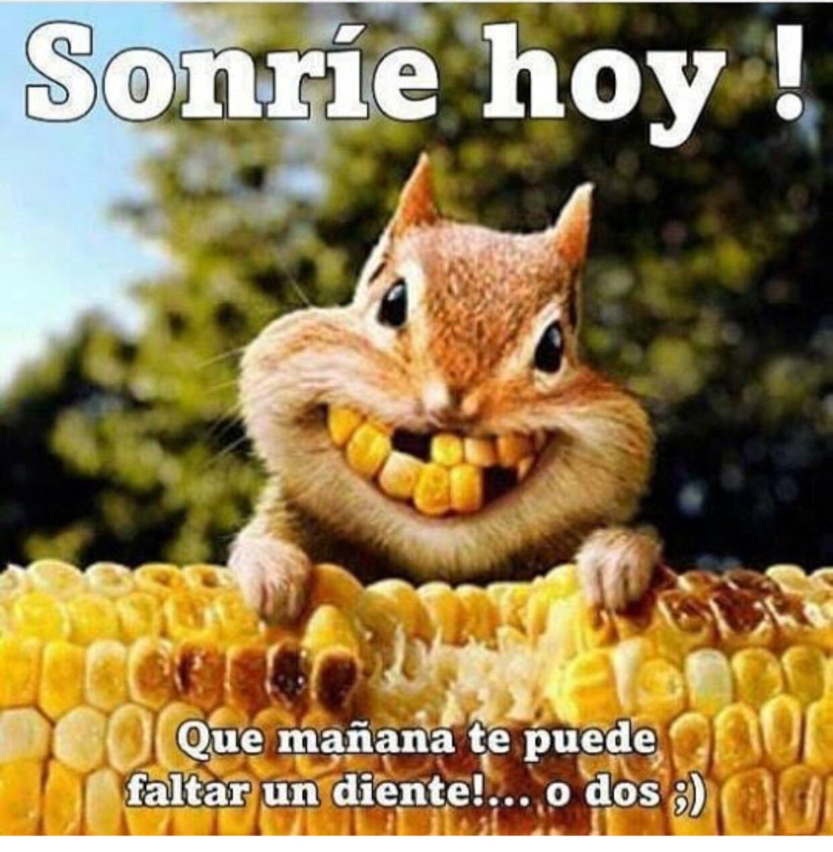 QualityZoneSAS's tweet photo. #MejorAsegúrese #Seguros #felizfindesemana✌ https://t.co/qlSZ136NER https://t.co/AHjfSQJ15N