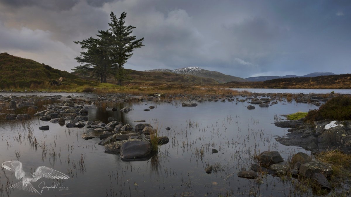 JacquiMair's tweet photo. First snow. Looking towards #Bulbin in #CoDonegal #Ireland.
#Donegal #snow  @Failte_Ireland @govisitdonegal @barrabest https://t.co/RbODRiHVsY