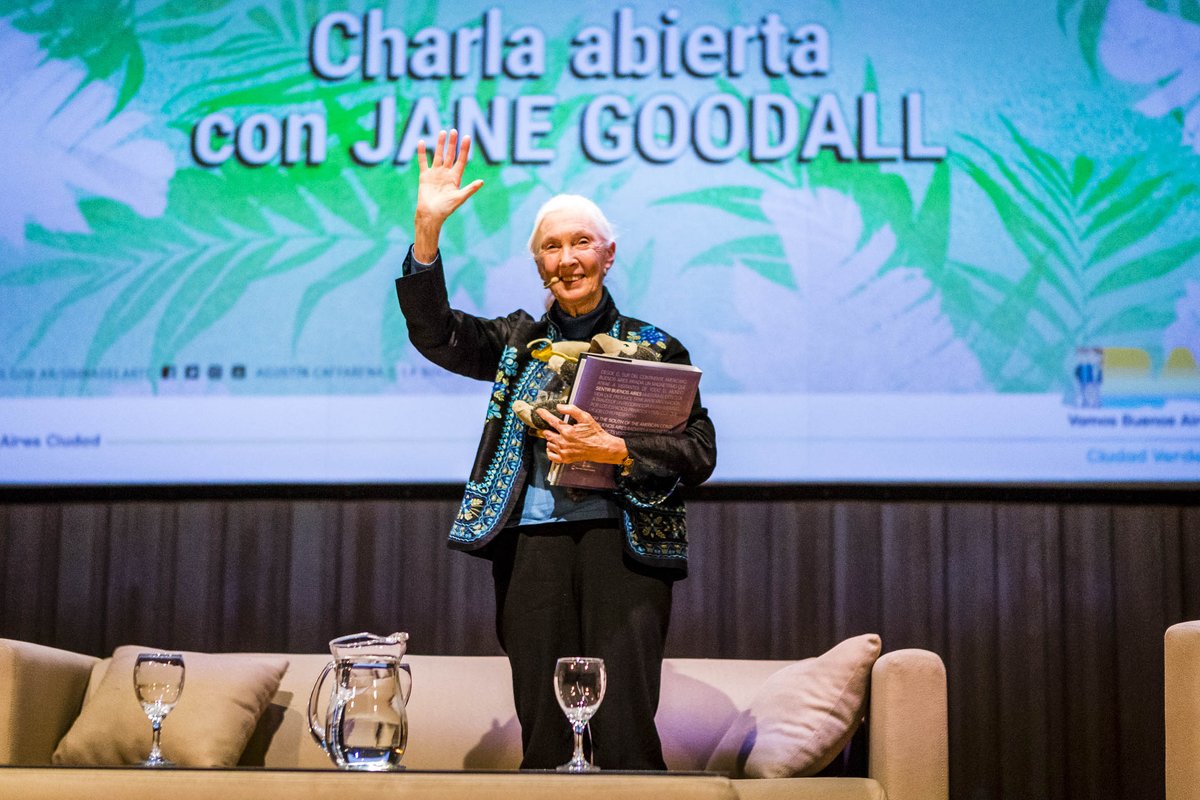 UsinadelArte's tweet photo. ¡Así vivimos la charla abierta con Dr. Jane Goodall en el #Auditorio! La científica conversó con el periodista @ninocesar sobre la conservación de las especies y su ambiente, y su trabajo con los jóvenes para el futuro con el @JaneGoodallInst ¡Mirá las fotos! https://t.co/ovsdOAJzcQ