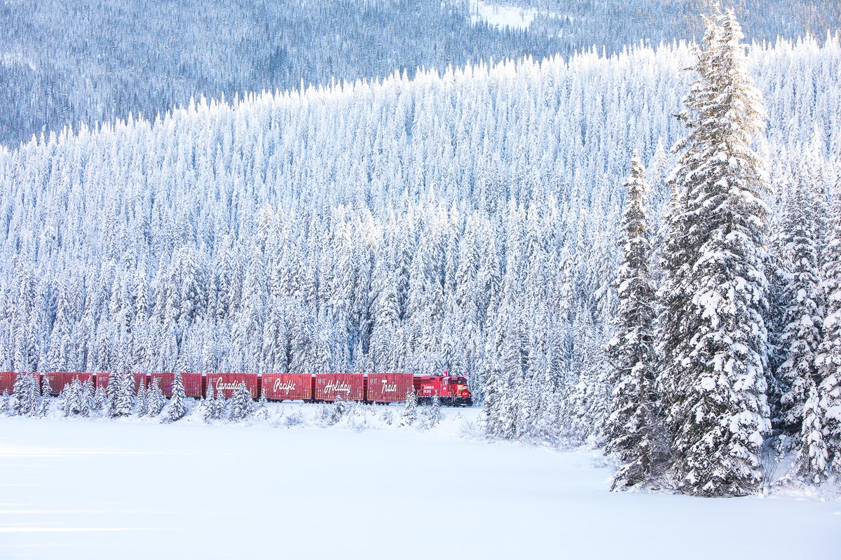 mallorymccredie's tweet photo. Ten more sleeps til I board the #CPHolidayTrain !! https://t.co/pVOZAQgK8t