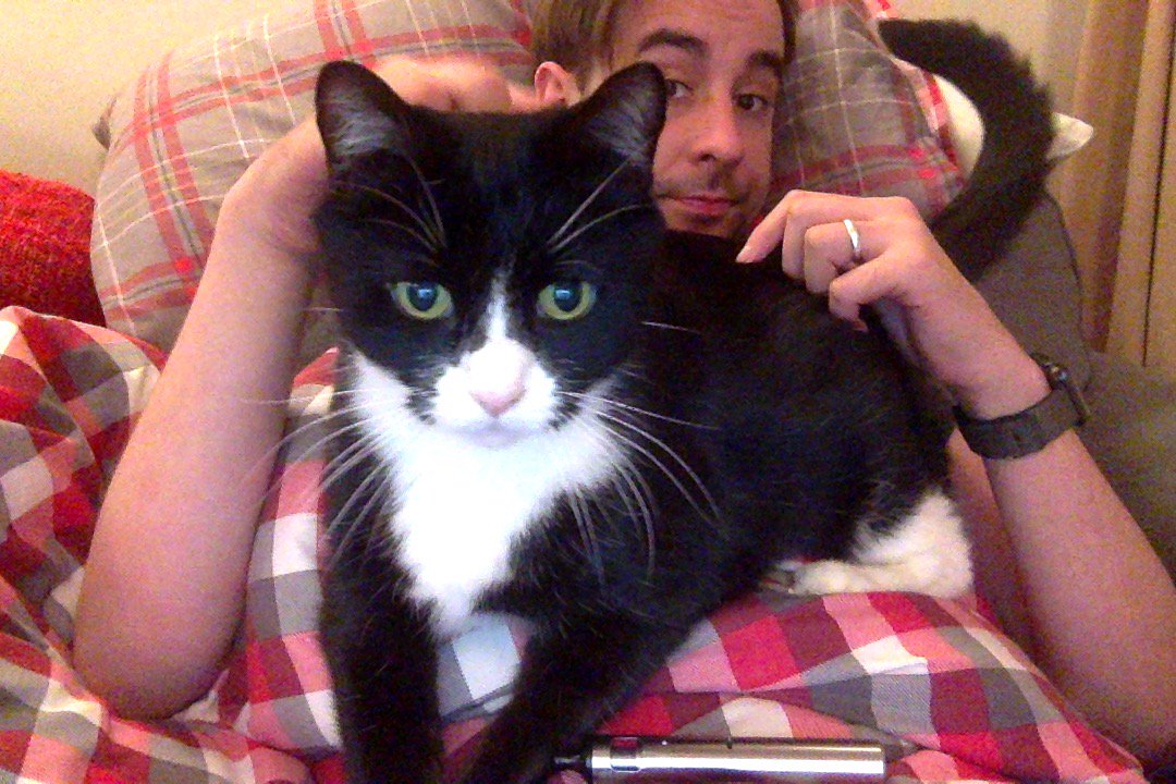 andrewkeates's tweet photo. This always happen whenever I curl up to do some work on my laptop⦠#TobyPage #Lapcattop https://t.co/QFNyRvtW98