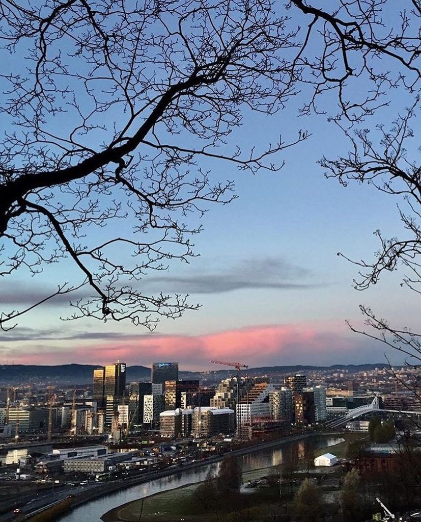 VisitOSLO tweet media