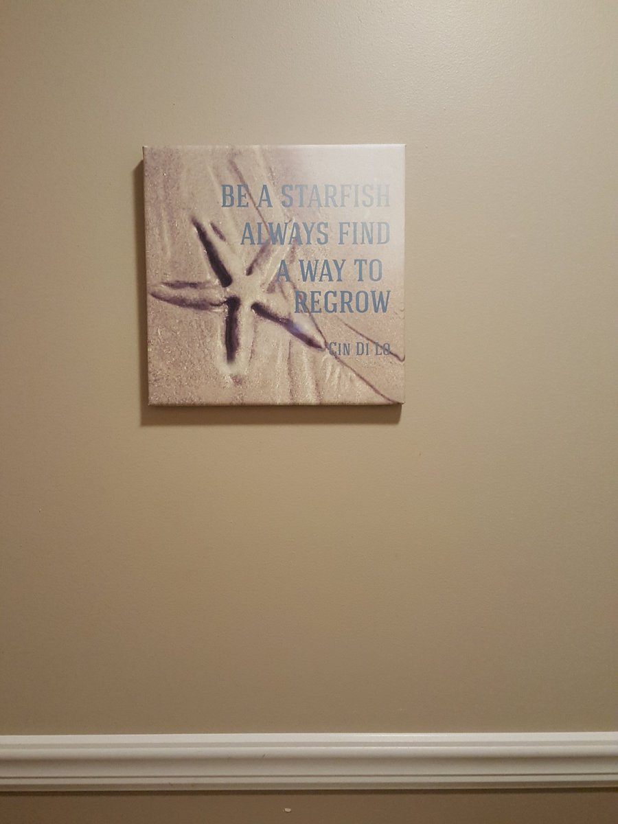 CinDiLo611's tweet photo. FIRST PRINTING OF OUR MOST POPULAR QUOTE: 12x12 Canvas Print: Be Starfish Always Find A Way to Regrow $29.99. PM me if interested. #Original #Quotes #Photos by #CinDiLo #PetiteInspirations #Quotographs #QuoteMe #quoteoftheday #inspire #Inspiration #Beach #starfish #beachlife https://t.co/VvpMBtRHoT