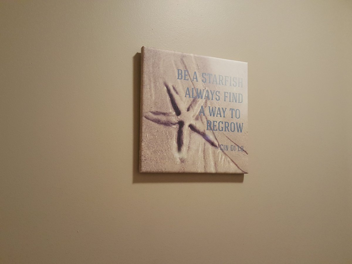 CinDiLo611's tweet photo. FIRST PRINTING OF OUR MOST POPULAR QUOTE: 12x12 Canvas Print: Be Starfish Always Find A Way to Regrow $29.99. PM me if interested. #Original #Quotes #Photos by #CinDiLo #PetiteInspirations #Quotographs #QuoteMe #quoteoftheday #inspire #Inspiration #Beach #starfish #beachlife https://t.co/VvpMBtRHoT