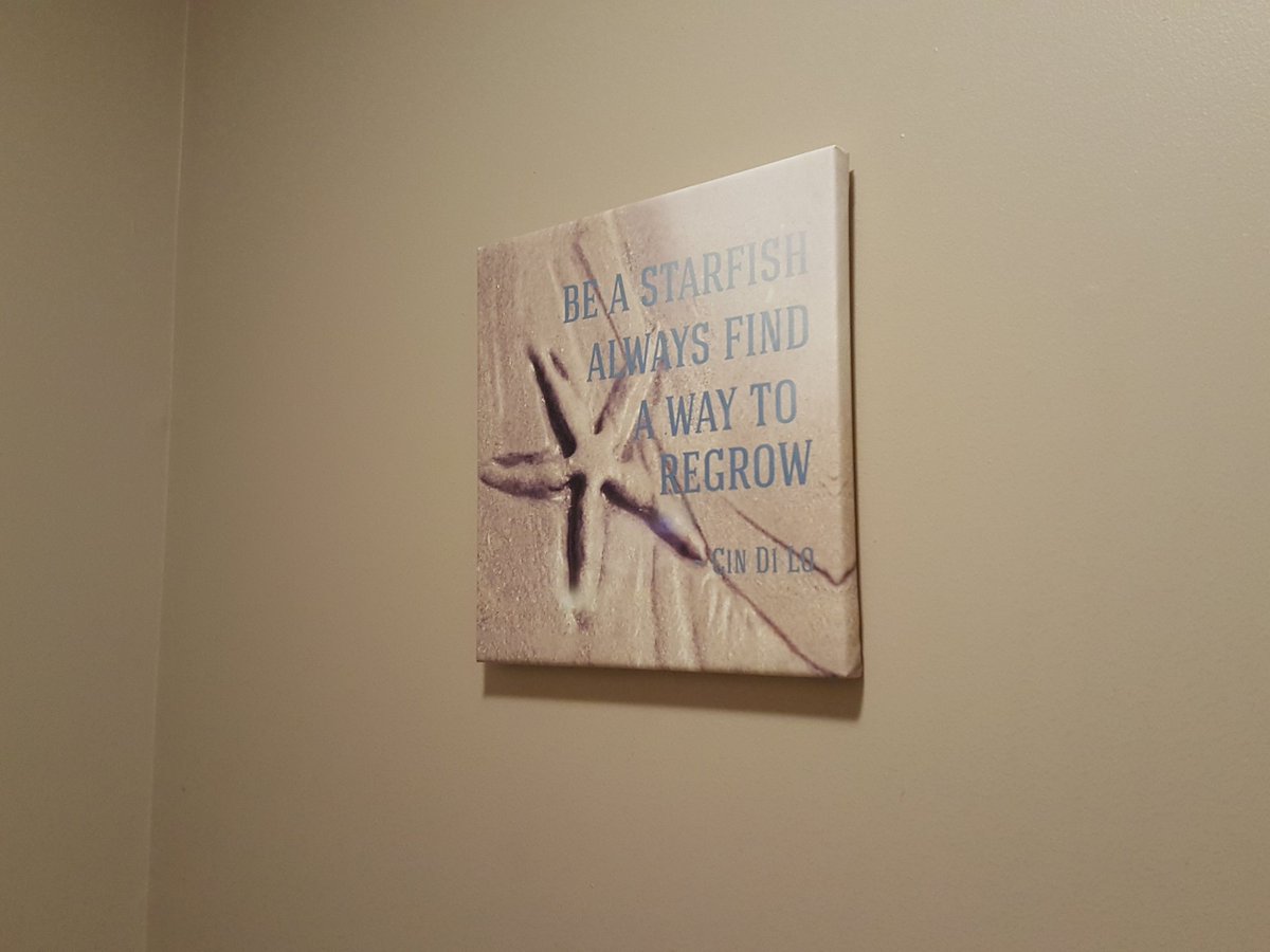 CinDiLo611's tweet photo. FIRST PRINTING OF OUR MOST POPULAR QUOTE: 12x12 Canvas Print: Be Starfish Always Find A Way to Regrow $29.99. PM me if interested. #Original #Quotes #Photos by #CinDiLo #PetiteInspirations #Quotographs #QuoteMe #quoteoftheday #inspire #Inspiration #Beach #starfish #beachlife https://t.co/VvpMBtRHoT