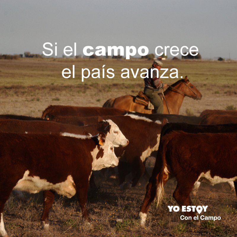 ¡Vamos Argentina, tenemos todo para salir adelante!