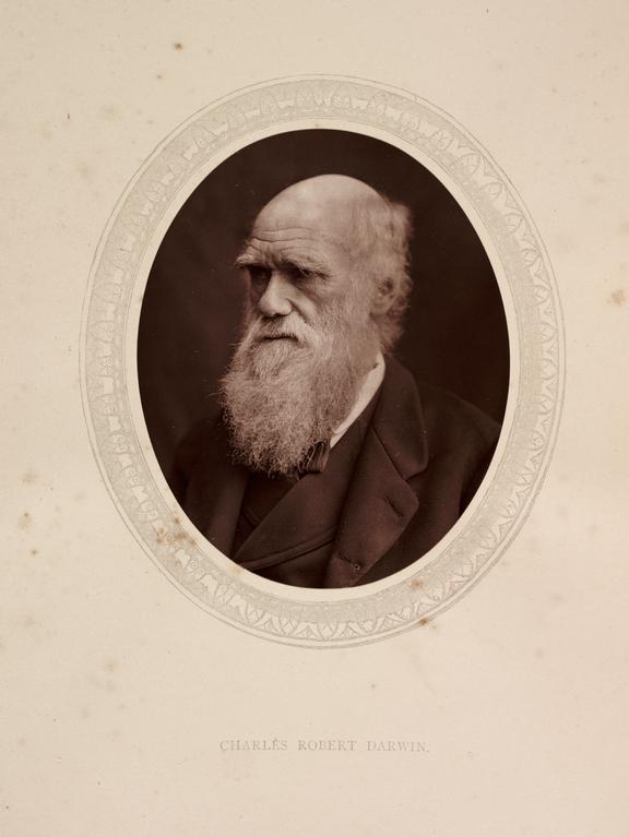 It was #OnThisDay in 1859 that a remarkable book was published. On the Origin of Species was written by Charles Darwin and went on to completely transformed our understanding of life.

This photograph of Darwin was taken by Lock and Whitfield in 1878 collection.sciencemuseum.org.uk/objects/co8228…