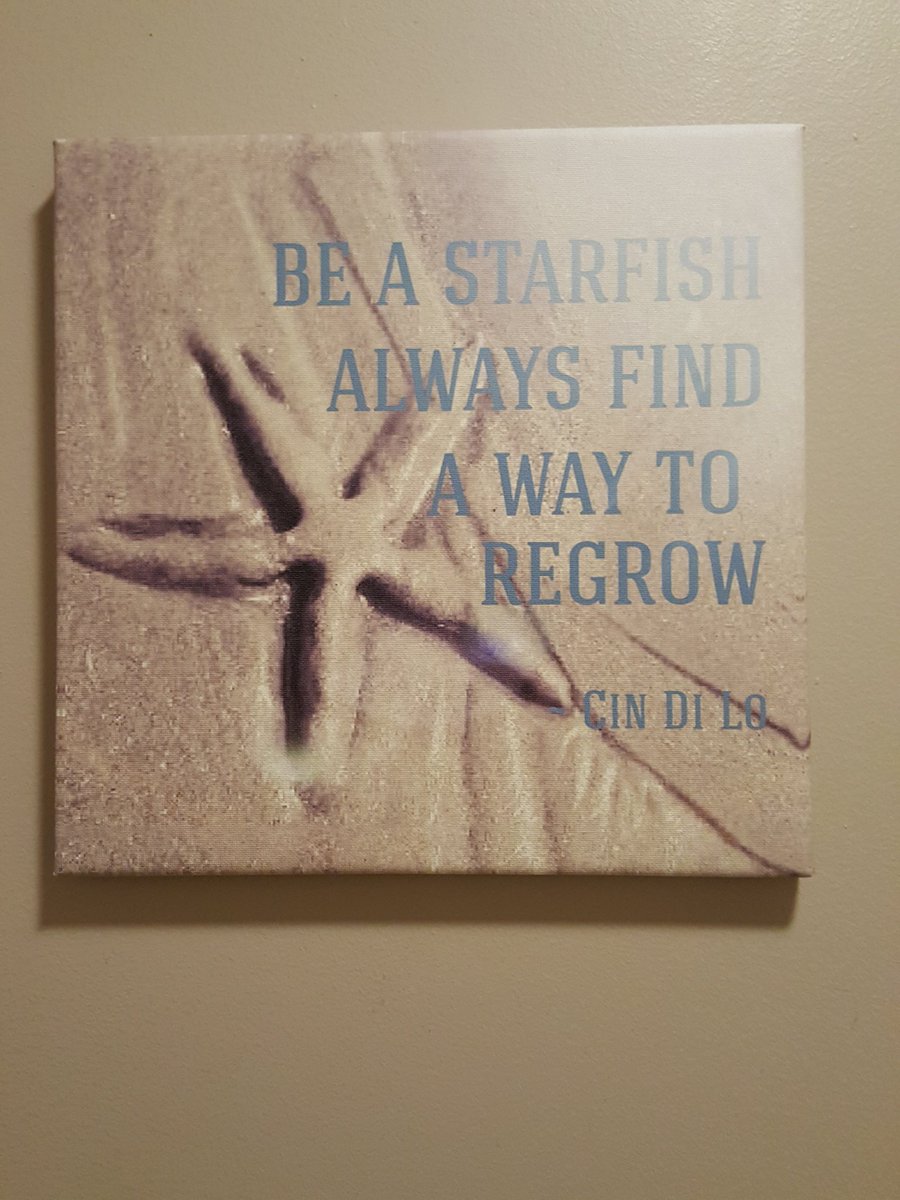 CinDiLo611's tweet photo. FIRST PRINTING OF OUR MOST POPULAR QUOTE: 12x12 Canvas Print: Be Starfish Always Find A Way to Regrow $29.99. PM me if interested. #Original #Quotes #Photos by #CinDiLo #PetiteInspirations #Quotographs #QuoteMe #quoteoftheday #inspire #Inspiration #Beach #starfish #beachlife https://t.co/VvpMBtRHoT