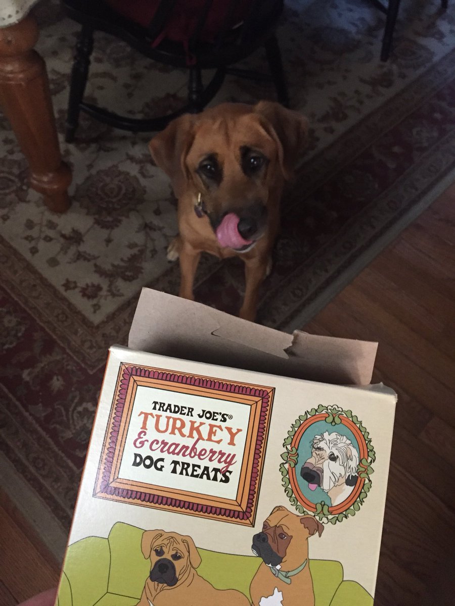 JoMarieHD's tweet photo. Who’s noshing #Leftovers today?? #Liesl #RescueDog #TraderJoes #DogsOfTwitter #postthanksgiving #TurkeyLeftovers #TheDayAfter #fridaynightrules https://t.co/sNGZMfvuDd